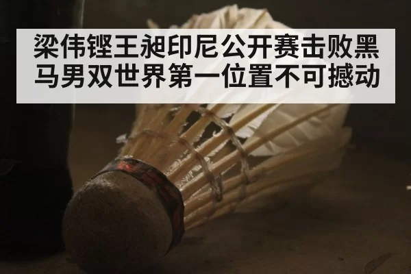 梁伟铿王昶印尼公开赛击败黑马男双世界第一位置不可撼动