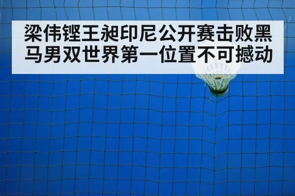 badminton net shot