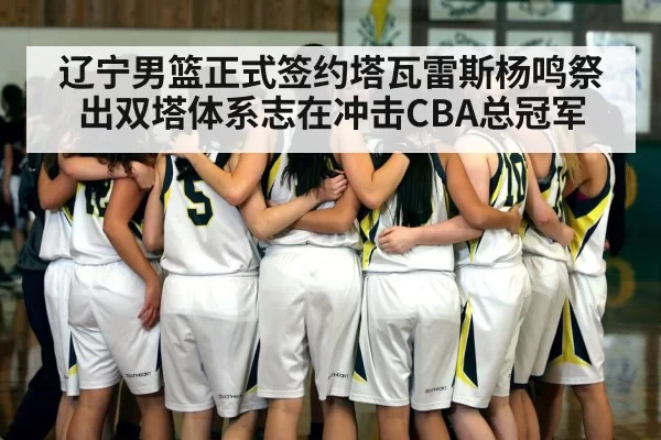 辽宁男篮正式签约塔瓦雷斯杨鸣祭出双塔体系志在冲击CBA总冠军